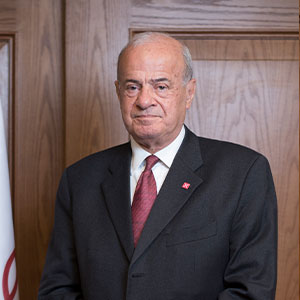 Mr. Hassan Mokhtar Hegazy Kamal Eldin