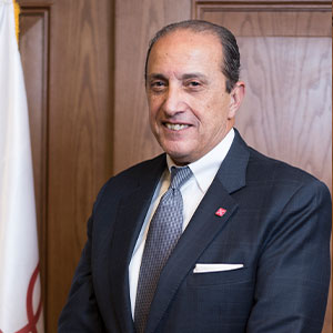 Mr. Atef Ali Ibrahim El-Sayed